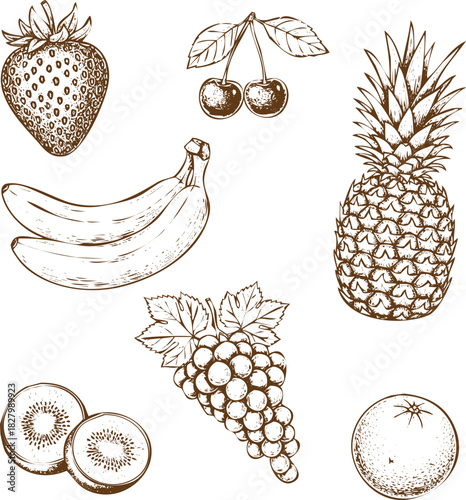 An engraving art style illustration collection of hand drawn fruit sketches including strawberry, cherry, banana, pineapple, kiwi, grape, and orange