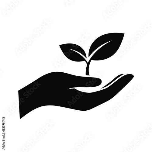 Hand holding a young plant sprout, isolated on