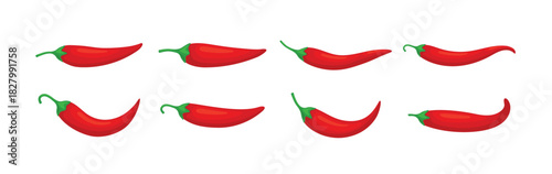 Closeup chilly pepper. Hot red chili peppers, cartoon mexican chilli or chillies illustration, vectors paprika icon signs isolated on white background for your design. vector illustration.