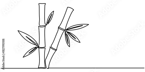 Continuous one line drawing of bamboo. Single line art style bamboo tree drawing for a plantation logo. Evergreen, flowering plant icon with a modern, minimal vector style. Pro vector. 