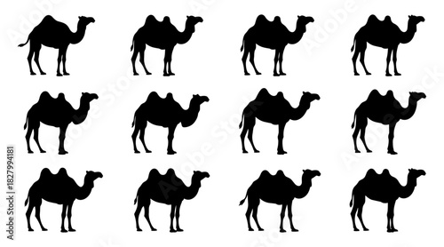 Camel collection shows elegant walking poses and gentle curves. The animals appear natural and calm in movement. The silhouettes have very high quality