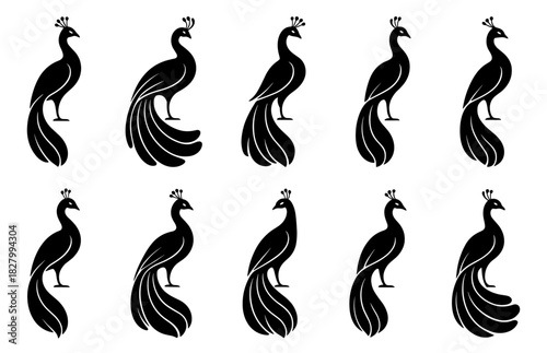 Peacock silhouettes display elegant standing poses with flowing decorative tails. Each figure emphasizes graceful curves and iconic bird posture. The silhouettes have very high quality