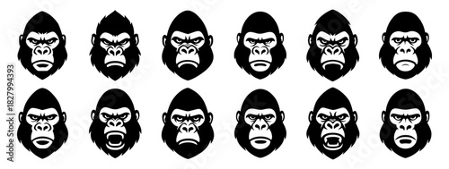 Gorilla head with expressive facial features and strong structure. The silhouette highlights power and emotional intensity