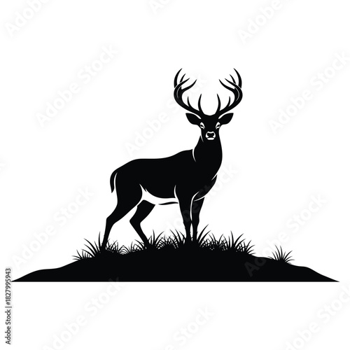 Majestic Silhouette of a Deer Standing Proudly on a Grassy Knoll
