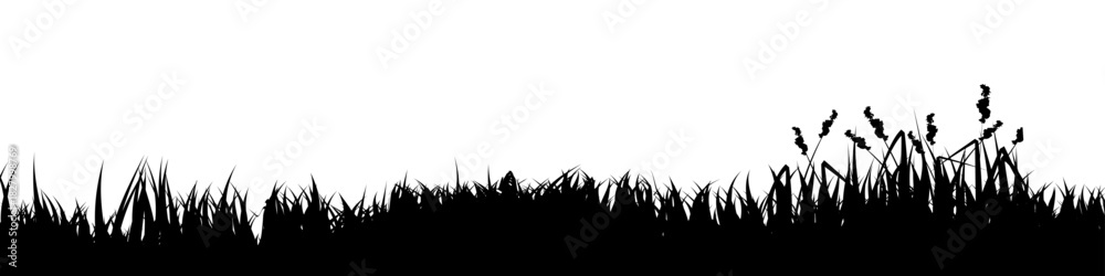 Naklejka premium Meadow silhouette with grass, plants on plain. Panoramic summer lawn landscape with herbs, various weeds. Herbal border, frame element. Black horizontal banners. Vector illustration