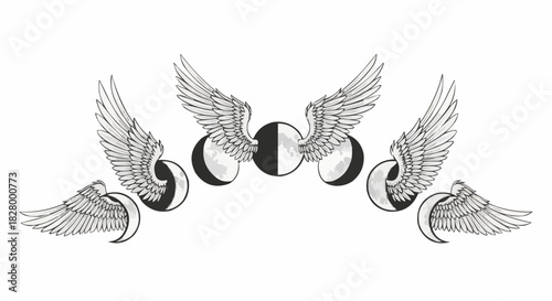 Mystical black and white illustration of the lunar cycle with wings.