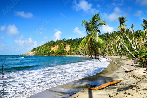 Batibou Beach, in northern Dominica, is considered to be the most beautiful beach on the island. This peaceful sandy beach, surrounded by tropical forest, is washed by the waves of the Caribbean sea.