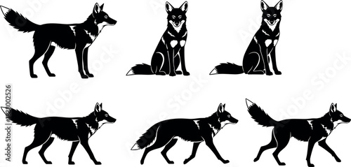 Black and white fox silhouette set showing various poses, movement and anatomy for wildlife, nature, design, and educational vector use.