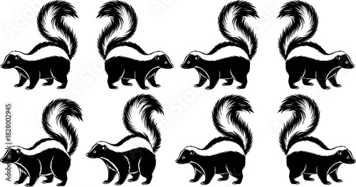 Cute cartoon skunk animal vector illustration in side profile view with white stripe, black fur, tail raised, isolated on white
