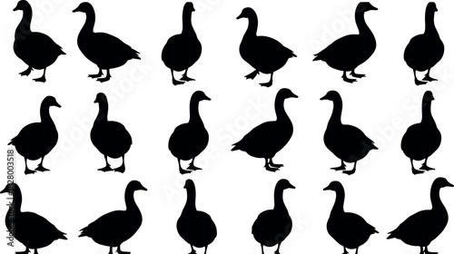 Set of black goose silhouettes in various flying and standing poses for wildlife, nature, pattern, and cognitive visual design use.