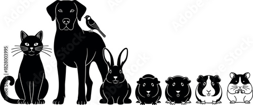 Silhouette lineup of popular domestic pets including cat, dog, rabbit, guinea pigs, hamster and bird for veterinary and pet care.