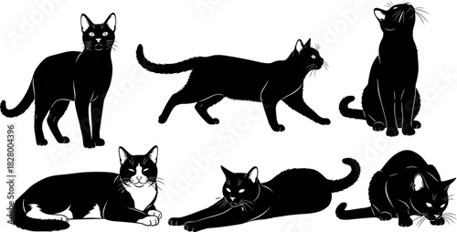Stylized black cat silhouettes in various poses including sitting, walking, stretching, lounging, and curled resting on white background illustration