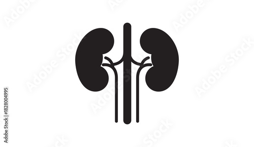 Human Internal Organs Anatomy Vector Illustration Set Isolated on White Background