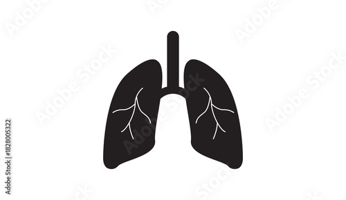 Vector illustration of human lungs