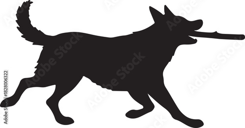 Silhouette of a german shepherd dog playfully running with a stick