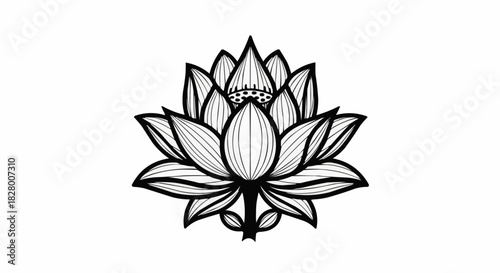 Detailed Black and White Lotus Flower Illustration.