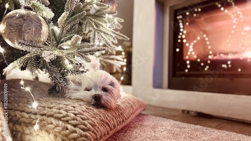 Resting Dog Next to Fireplace and Christmas Tree – Warm Holiday Interior Video