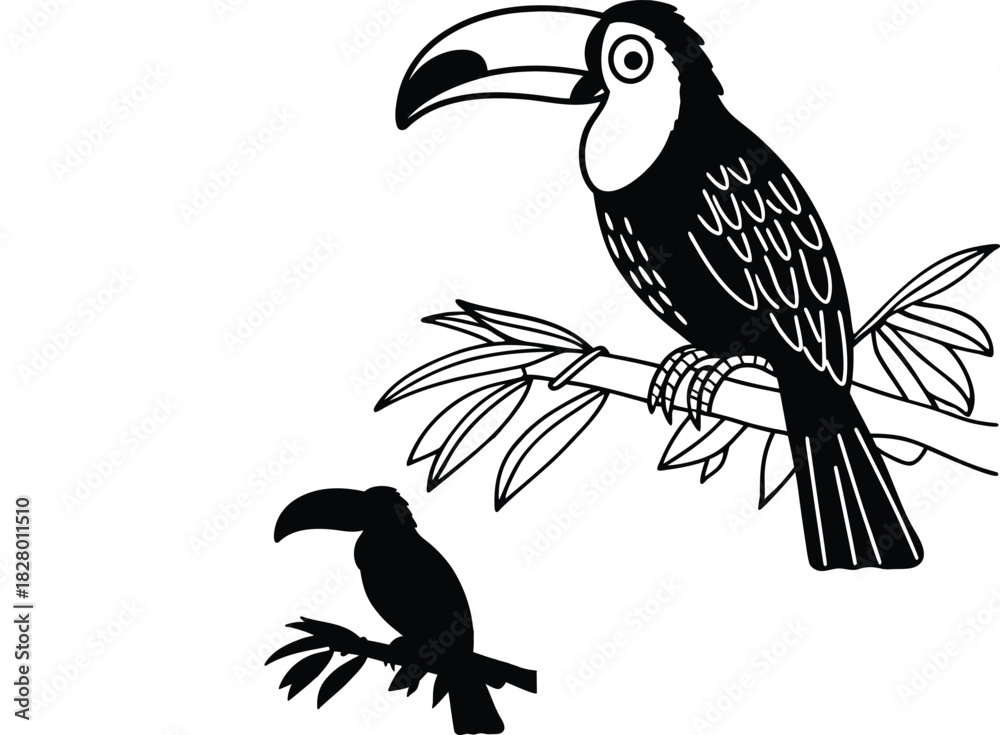 Naklejka premium toucan graphic vector illustration 