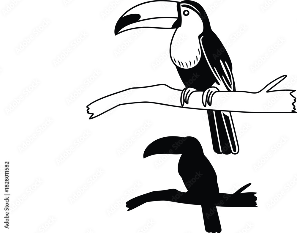 Fototapeta premium toucan artwork vector illustration