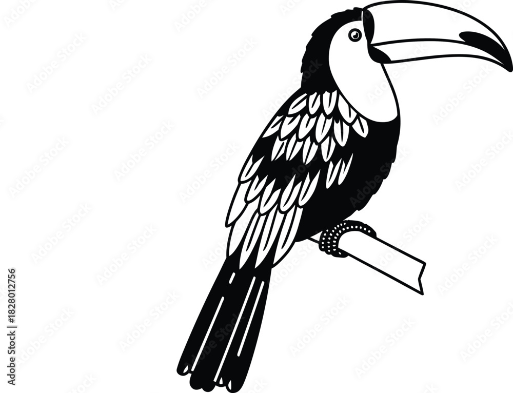 Naklejka premium toucan outline vector illustration