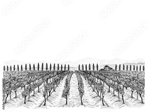 Vineyards With Rustic Farmhouse And High Trees And Mountains On Horizont, Classic Countryside Italian landscapes Sketch Engraving Hand Draw Vector Illustration