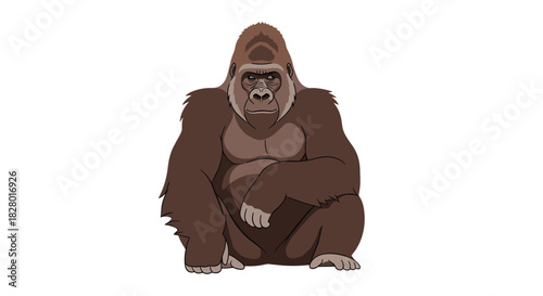 Powerful and realistic cartoon illustration of a large male silverback gorilla sitting patiently and looking forward on a white background.