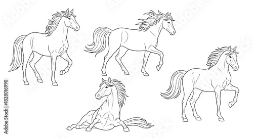Elegant set of four beautiful horses in various poses drawn in a clean black and white line art style for a coloring book page.