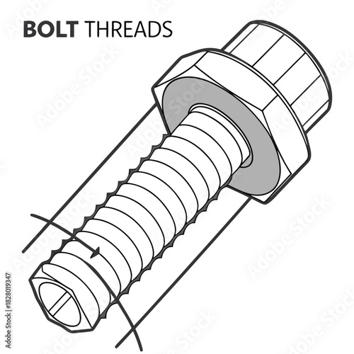 Detailed illustration of a bolt and nut assembly showcasing the helical grooves of the threaded shaft and the internal threads of the nut