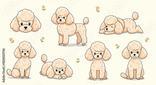 A complete set of adorable cartoon poodle illustrations in various cute poses including sitting standing lying down and a headshot.
