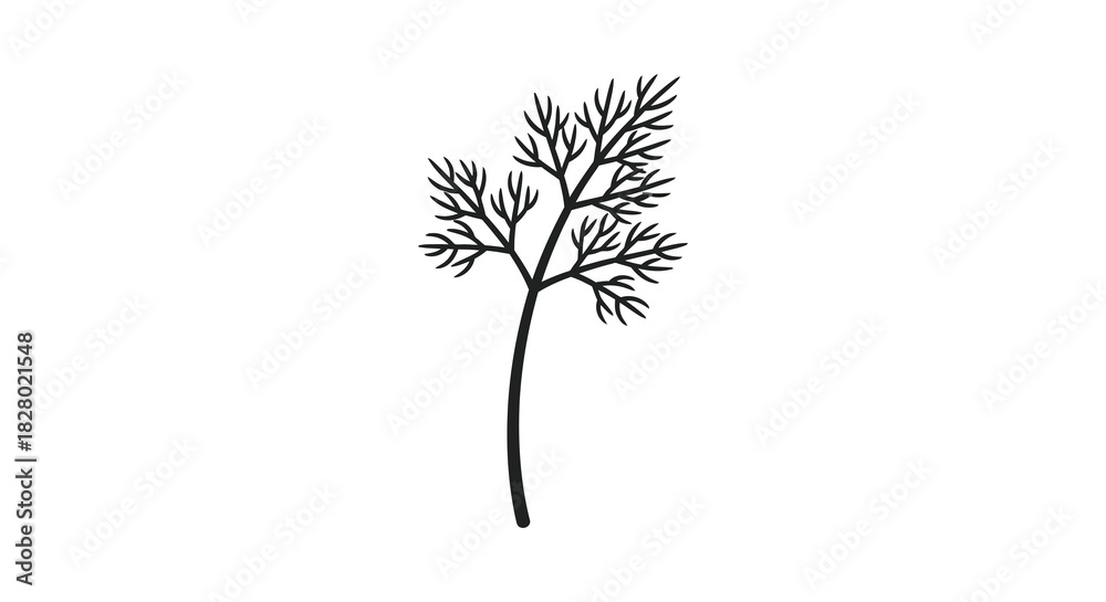 custom made wallpaper toronto digitalDelicate dill herb silhouette illustration on white background silhouette
