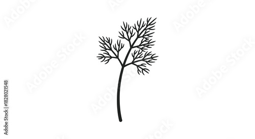 Delicate dill herb silhouette illustration on white background silhouette