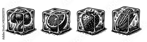 Icy symbol cubes vintage engraving icons set, frozen blocks collection