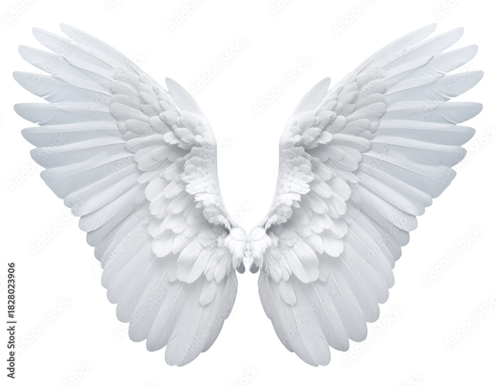 Obraz premium Angel wings cutout. White wings on transparent background