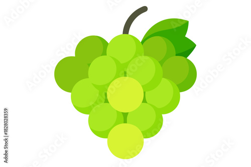 Cluster of green grapes
