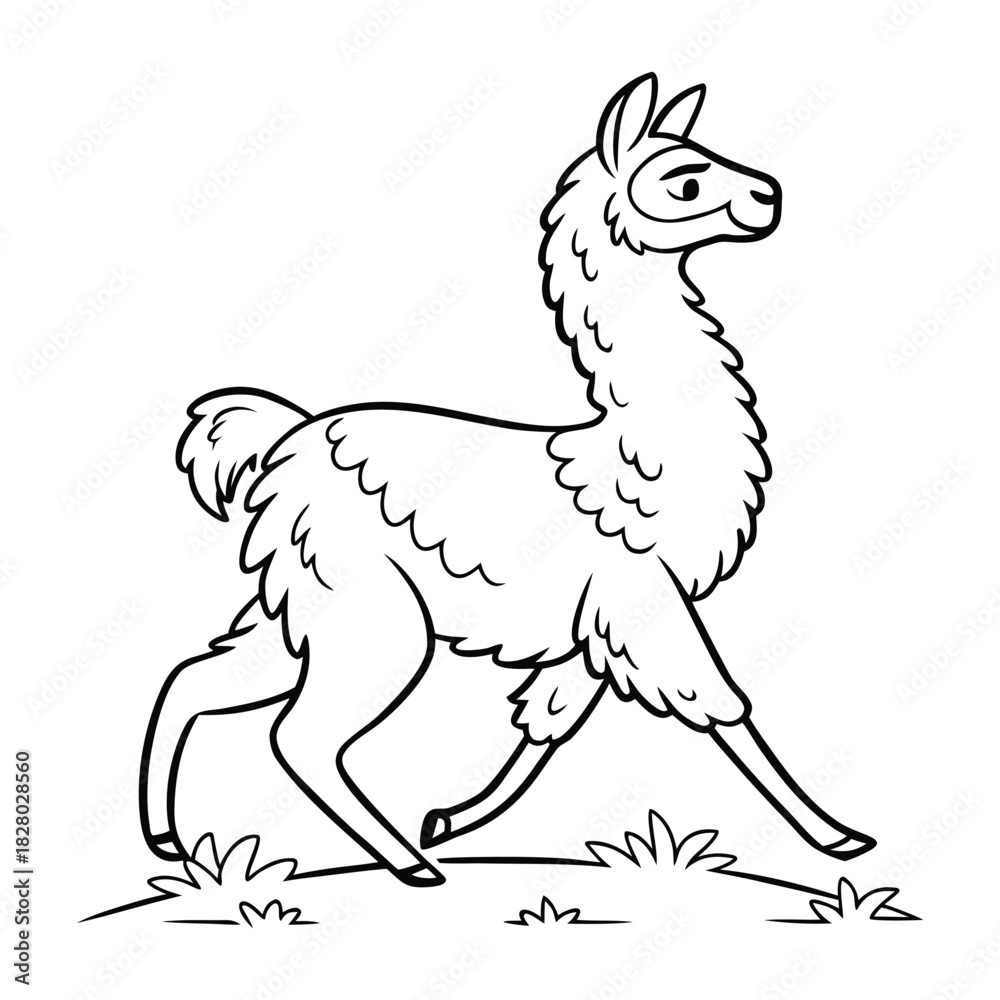 Naklejka premium Cartoon outline of a walking alpaca, black and white line art illustration for kids. Vector