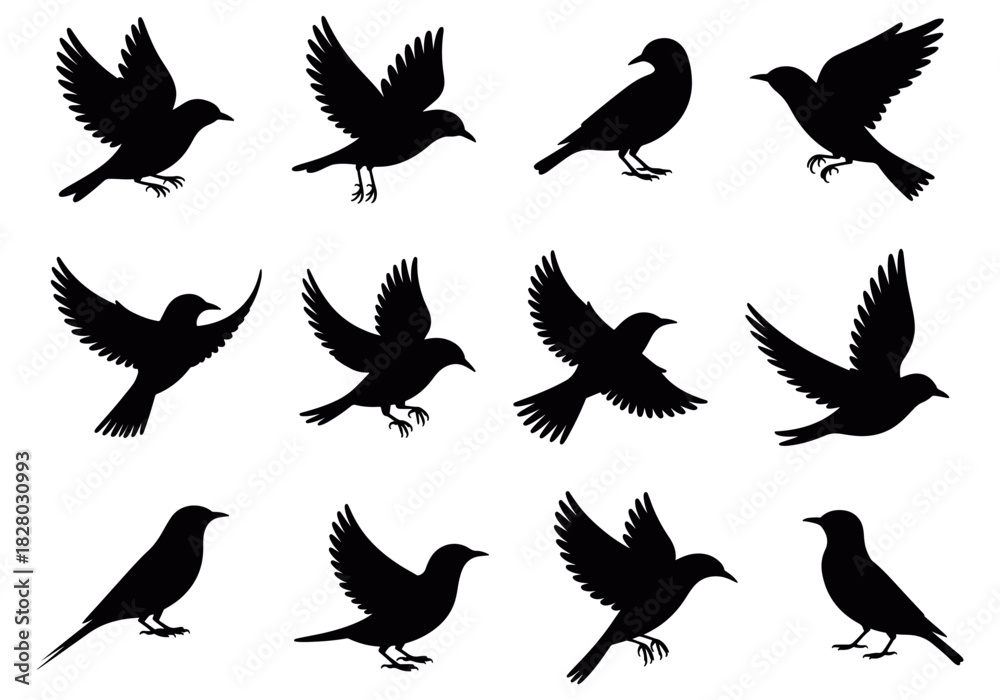 Fototapeta premium Bird silhouette icon set with multiple flying poses in clean black vector style, perfect for nature artwork, wildlife graphics, outdoor themes, freedom symbols, and minimal design projects