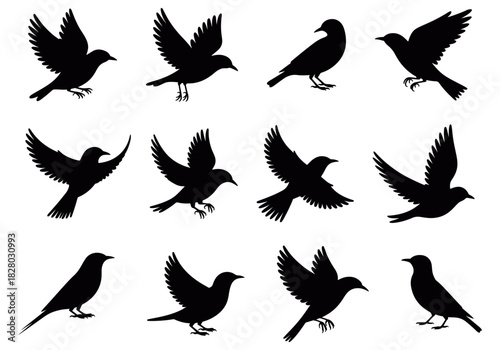 Bird silhouette icon set with multiple flying poses in clean black vector style, perfect for nature artwork, wildlife graphics, outdoor themes, freedom symbols, and minimal design projects