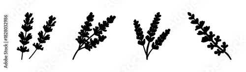 Stylized black lavender sprigs vector illustration set, elegant floral design element