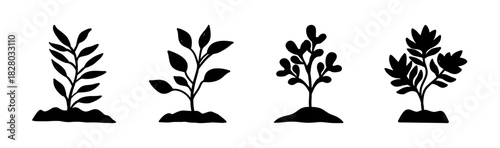 Stylized saplings growth stages icon set. young plants sprout in soil illustration.