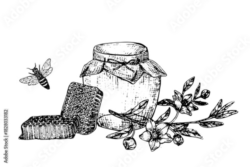 Manuka honey vector illustration. Hand drawn spoon, bee, honeycomb, jar, manuka flowers in vintage linear style. Honey sketch set with manuka.