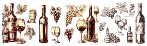 Set of watercolor wine, grapes and wine glasses on white background