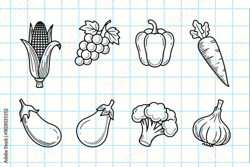 Healthy food doodle collection of various organic produce icons