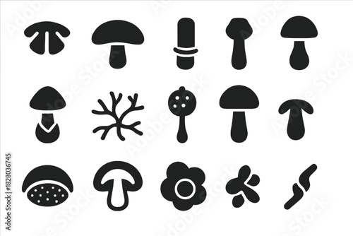 Fungal Anatomy Icons. Solid style icons of Fungal anatomy: gills, cap, stalk, ring, volva, mycelium strands, spore sac, fruiting