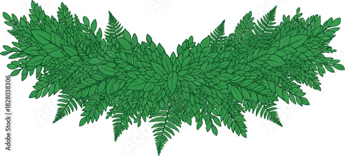 Green fern leaves arranged in a decorative pattern isolated on perfect for design projects