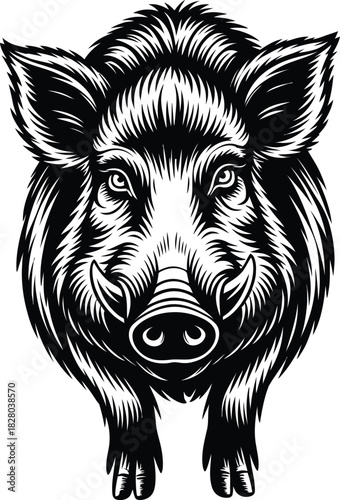 Illustration of Wild Boar Face with Sharp Tusks