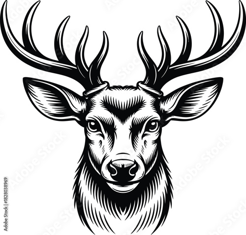 Detailed Deer Head Vector Illustration on Transparent Background