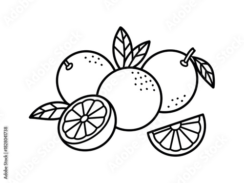 A simple line drawing shows a cluster of oranges with leaves, one cut in half and a slice.