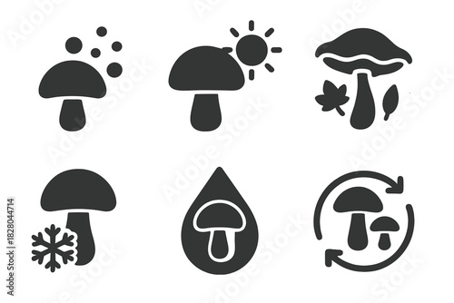 Seasonal Fungi Icons. Solid style icons of seasonal fungi clothing: spring spores icon, summer cap badge, autumn frill panel.