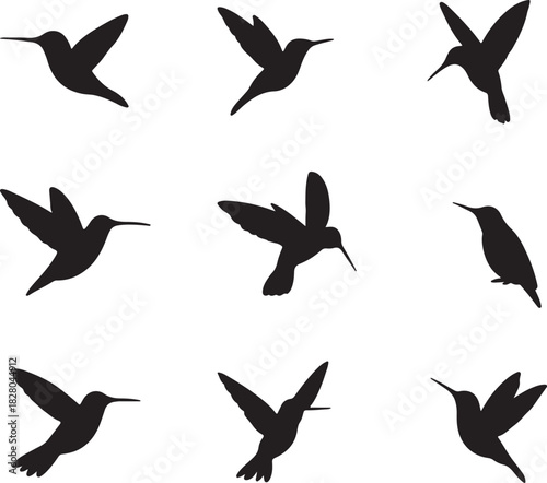 Hummingbird silhouettes vector