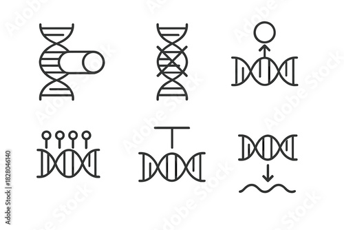 Epigenetic Regulation Icons. Line style icons of cell regulation via epigenetics: gene activation switch, gene silencing icon,